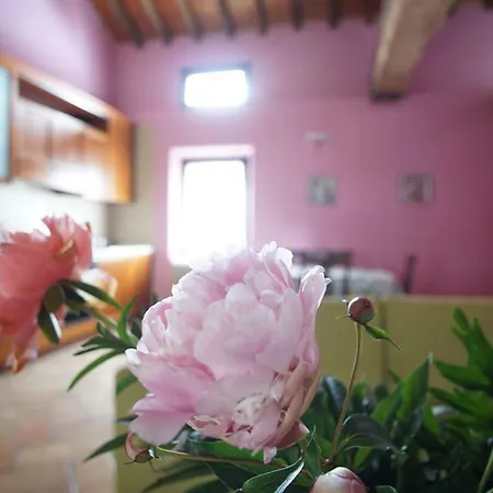 カントリーハウス Aggazzotti Colombaro