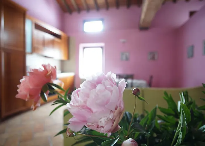 Летний дом Aggazzotti Colombaro (Modena)